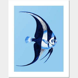 Angelfish Posters and Art